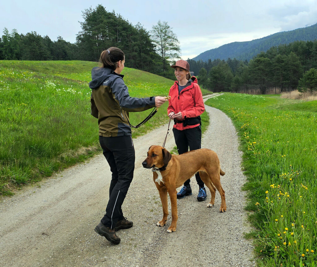 wild|once Hundetraining & Verhaltensberatung: Hundetrainerin Maria Bernhard bei einem Hundetraining Erstgespräch