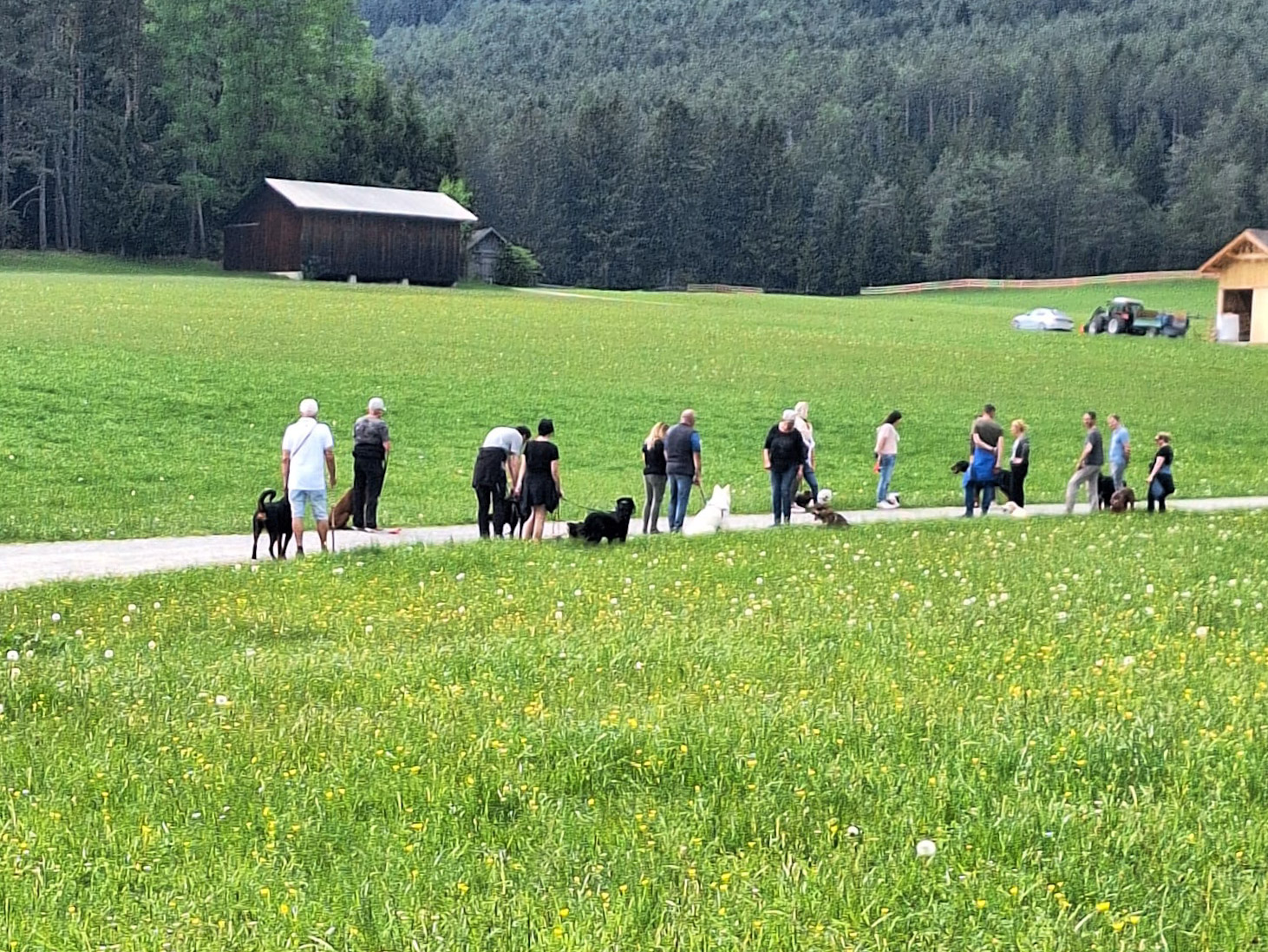 SocialWalk