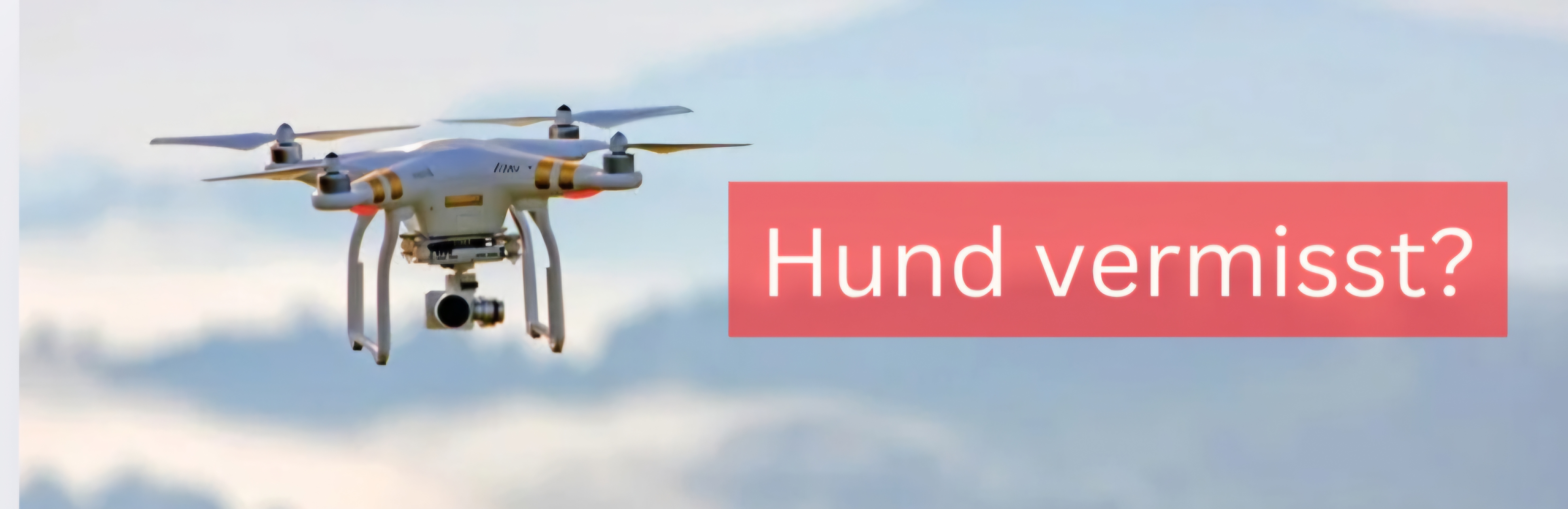 SocialWalk zugunsten Tiersuch Hilfe Tirol