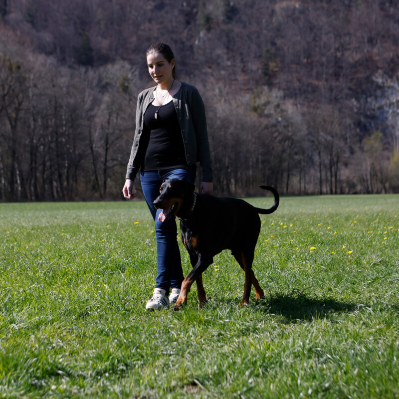 wild|once Hundetraining & Verhaltensberatung: Hundetrainerin Maria Bernhard mit Rico im Training